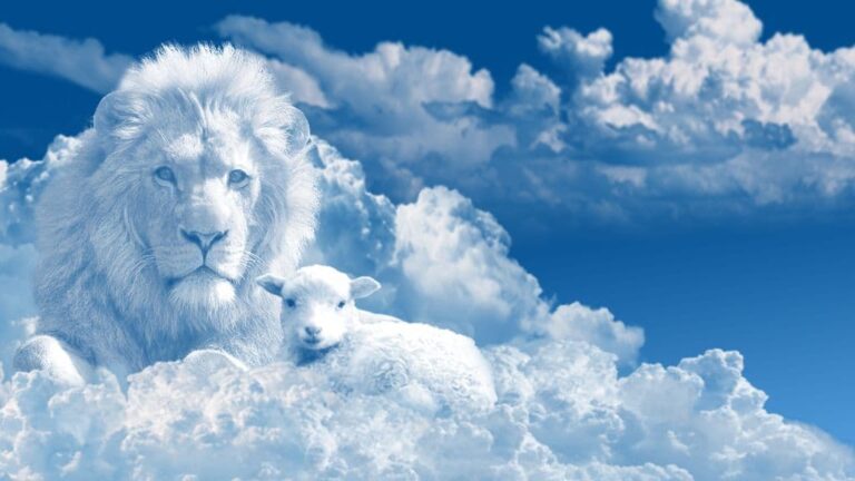 leão e ovelha no céu entre as nuvens
